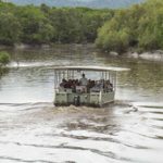 Whitsunday Crocodile Safari