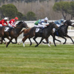 Bowen Cup Day