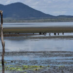 Key Attractions in Proserpine